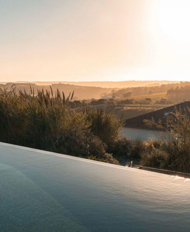 WhatsApp Image 2026-01-22 at 15.23.22